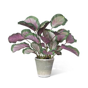 Faux Calathea Plant in Ceramic Pot, Indoor Botanical Accent for Shelves and Entryway