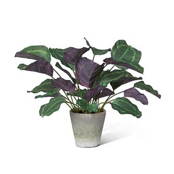 Faux Medallion Leaf Calathea Plant in Pot, Indoor Greenery Accent Decor