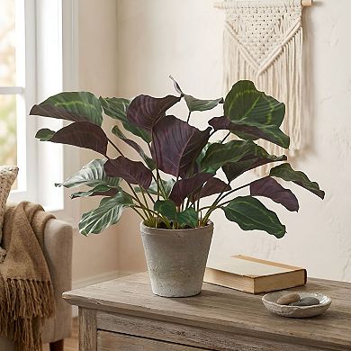 Faux Medallion Leaf Calathea Plant in Pot, Indoor Greenery Accent Decor