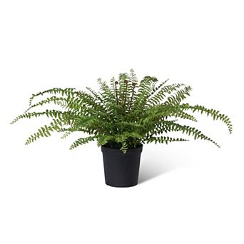 Faux Fern Plant in Growers Pot, Indoor and Covered Outdoor Greenery Decor