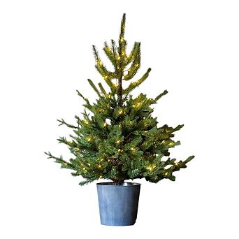 Potted Porch Fir Tree Lighted Faux Fir Tree in Metal Pot with LED Lights fpr Living Room, Corner
