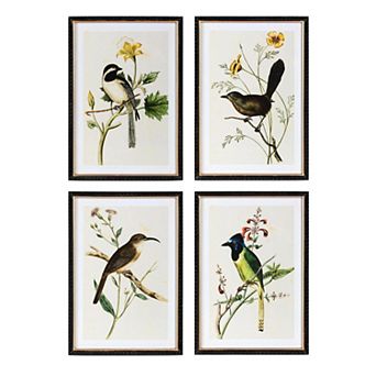Set of 4 Assorted Summer Bird Framed Wall Art Prints for Living Room and Bedroom Decor
