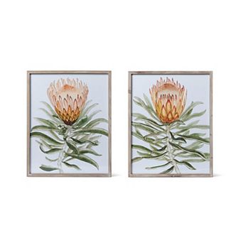 Set of 2 Assorted Protea Watercolor Framed Wall Art Prints for Living Room and Bedroom Decor