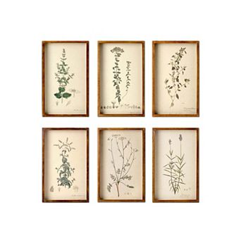 Set of 6 Vintage Botanical Framed Wall Art Prints for Farmhouse Gallery Wall Decor