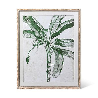 2Pc Banana Tree Assorted Framed Wall Art Set for Living Room and Bedroom Decor