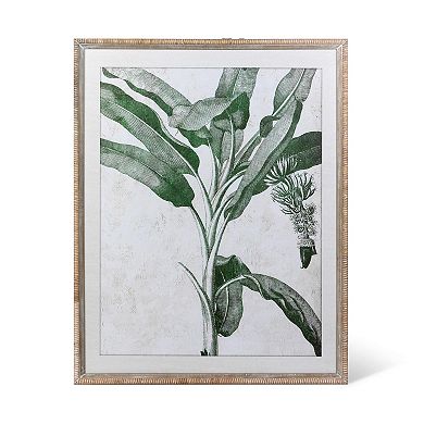 2Pc Banana Tree Assorted Framed Wall Art Set for Living Room and Bedroom Decor