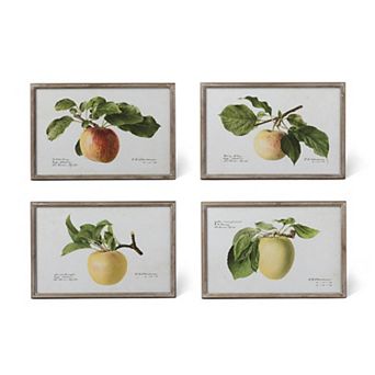 Set of 4 Assorted Orchard Fruit Illustration Framed Prints for Living Room and Hallway Decor