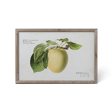 Set of 4 Assorted Orchard Fruit Illustration Framed Prints for Living Room and Hallway Decor