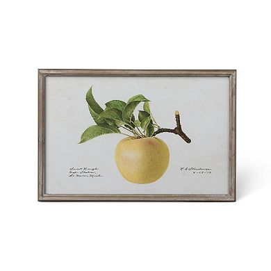 Set of 4 Assorted Orchard Fruit Illustration Framed Prints for Living Room and Hallway Decor