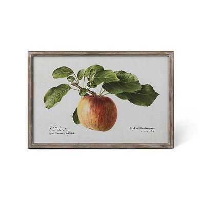 Set of 4 Assorted Orchard Fruit Illustration Framed Prints for Living Room and Hallway Decor