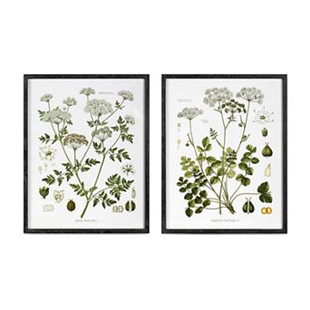 Set of 2 Assorted Summer Wildflower Framed Wall Art Prints for Living Room and Bedroom Decor
