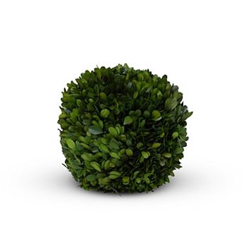 Preserved Boxwood Ball Sphere for Tabletop, Bowl Fill, and Centerpiece Decor