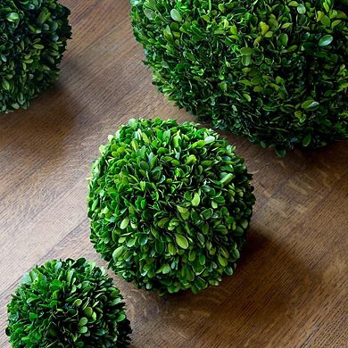 Preserved Boxwood Ball Sphere for Tabletop, Bowl Fill, and Centerpiece Decor