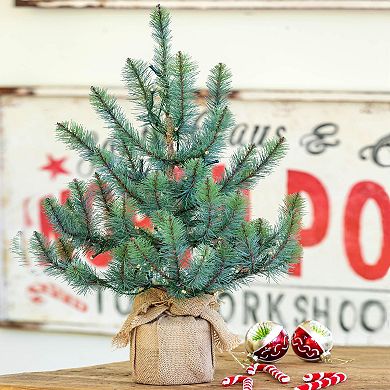 LED Lighted Blue Spruce Decorative Tree in Burlap Base for Indoor and Covered Outdoor Display