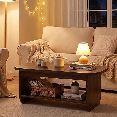 Oval Mid Century Coffee Table with 2 Tier Storage Shelf for Living Room and Apartment