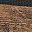 Rustic Brown