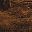 Rustic Brown