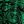Green Paisley Print