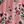 Pink Floral Print