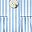 Whiteblue Strip