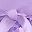 Butterfly Purple
