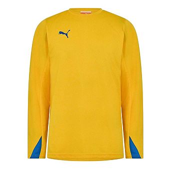 Puma Mens Team Long-Sleeved Shirt