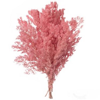 Uniquewise 17" Peng Lai Song Real Floral Stem Chic Vase Filler, Sakura Pink (Set of 2 Bunches)