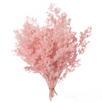 Uniquewise 19" Peng Lai Song Real Floral Stem Chic Vase Filler, Light Sakura Pink (Set of 2 Bunches)