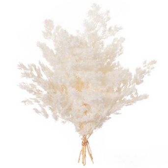 Uniquewise 17" Peng Lai Song Real Floral Stems Vase Filler, White (Set of 2 Bunches)