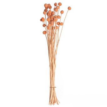 Uniquewise 40 pc Natural Dried Billy Ball Craspedia Flowers Bouquet, Champagne