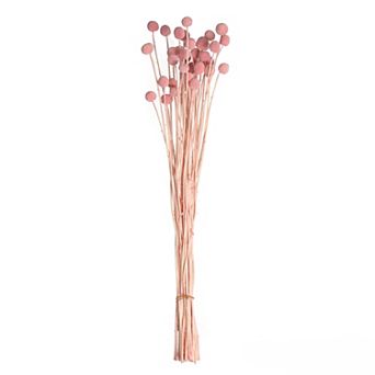 Uniquewise 40 pc Natural Dried Billy Ball Craspedia Flowers, Sakura Pink