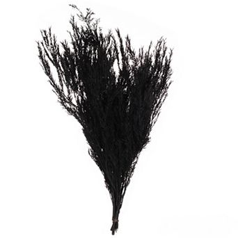 Uniquewise 24'' Dried Floral Natural Melaleuca Bracteata Grass Preserved Flowers, Black (2 Bunches)