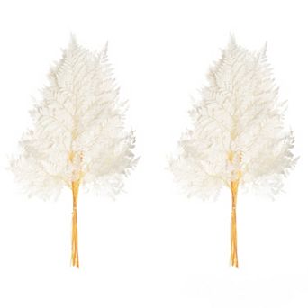 Uniquewise 17'' Real Alpine Fern Leaves with Stems for Dried Flower Arrangements, White (2 Bunches)