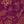 Red Purple