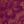 Purple Black