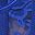 Royal Blue Black