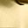 Brushed Gold