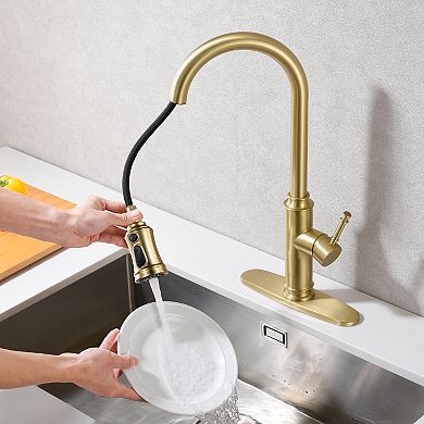 SUMERAIN Kitchen Faucet with Pull Out Sprayer and 10" Deck Plate Stainless Steel Single Handle