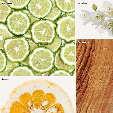 Reed Diffuser Cedar Bergamot Fragrance Oil