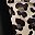 Black Leopard