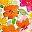 Orange Floral