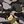 Camoteddy