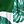 Green Leaf Print