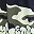 Army Green Camo Hoodie