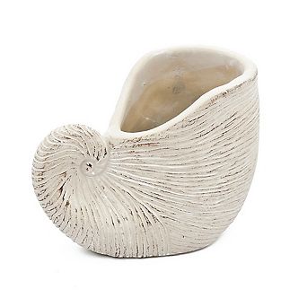 Sand and Cement Nautilus Shell Planter with Textured Beige Finish ,8.5x5.5x6.3"