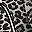 Leopard Brown