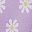 Purplefloral