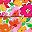 Orange Yellow Pink