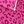 Hot Pink Leopard