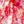 Red Flower Print